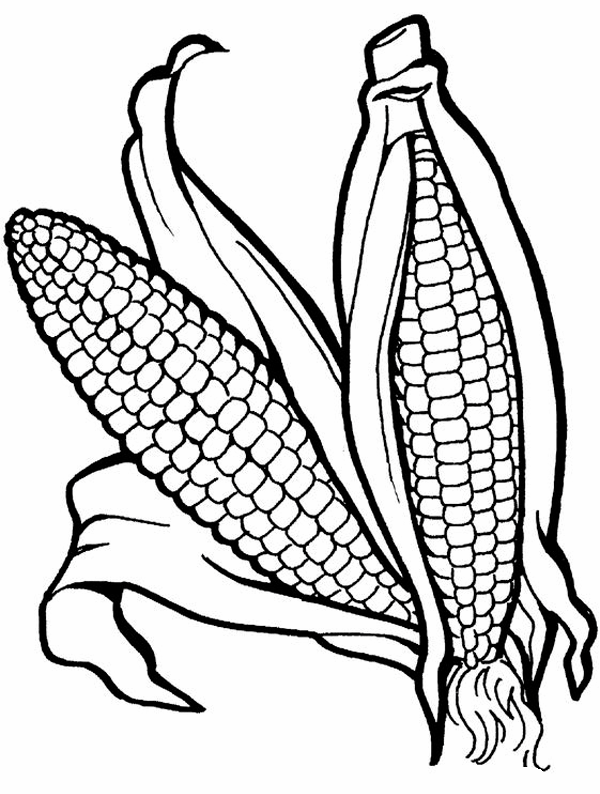 Раскраска Кукуруза. Раскраска 9