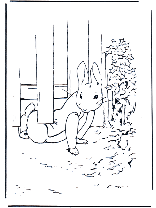Раскраска Кролик Питер. Раскраска 15