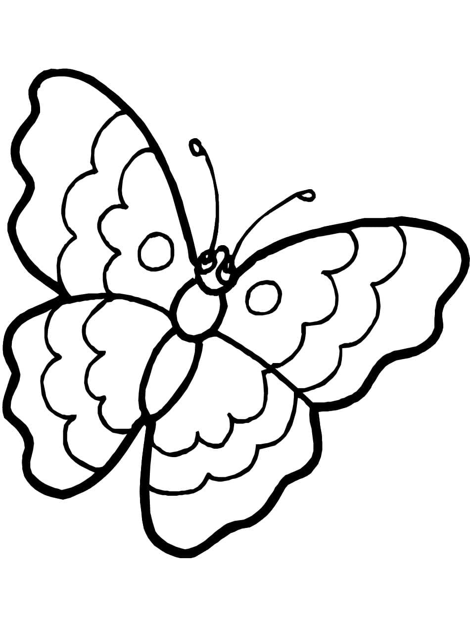 Раскраска Бабочки. Раскраска 18