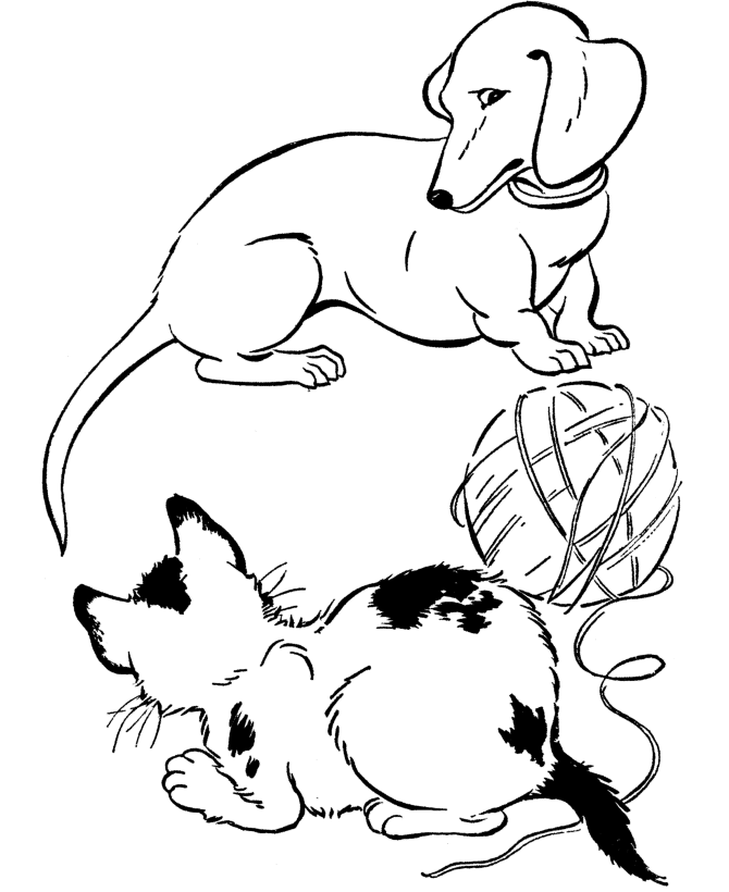 Раскраска Собака и Кошка. Раскраска 1