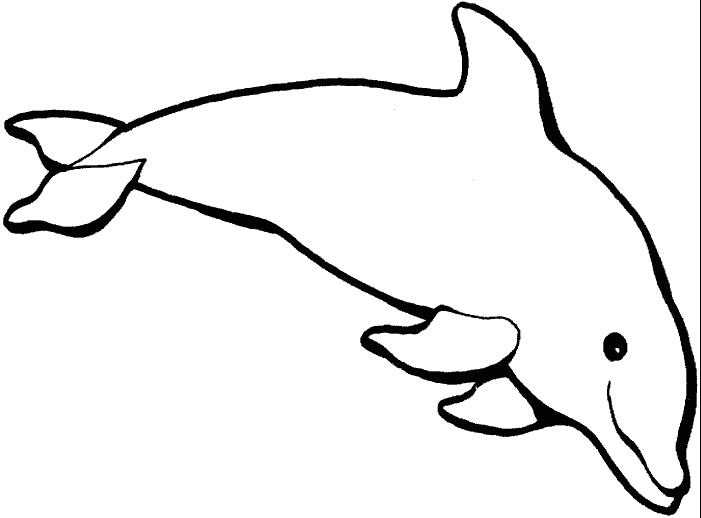 Раскраска Дельфин. Раскраска 5