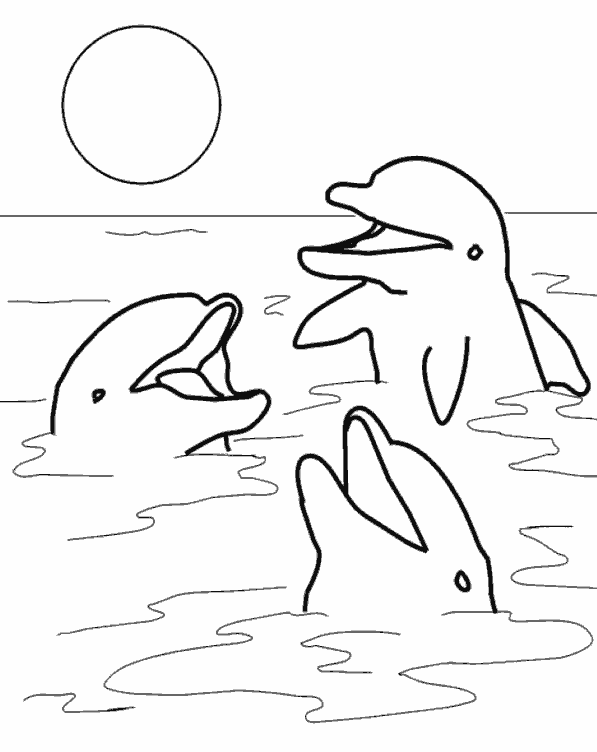 Раскраска Дельфин. Раскраска 9