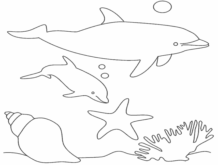 Раскраска Дельфин. Раскраска 15