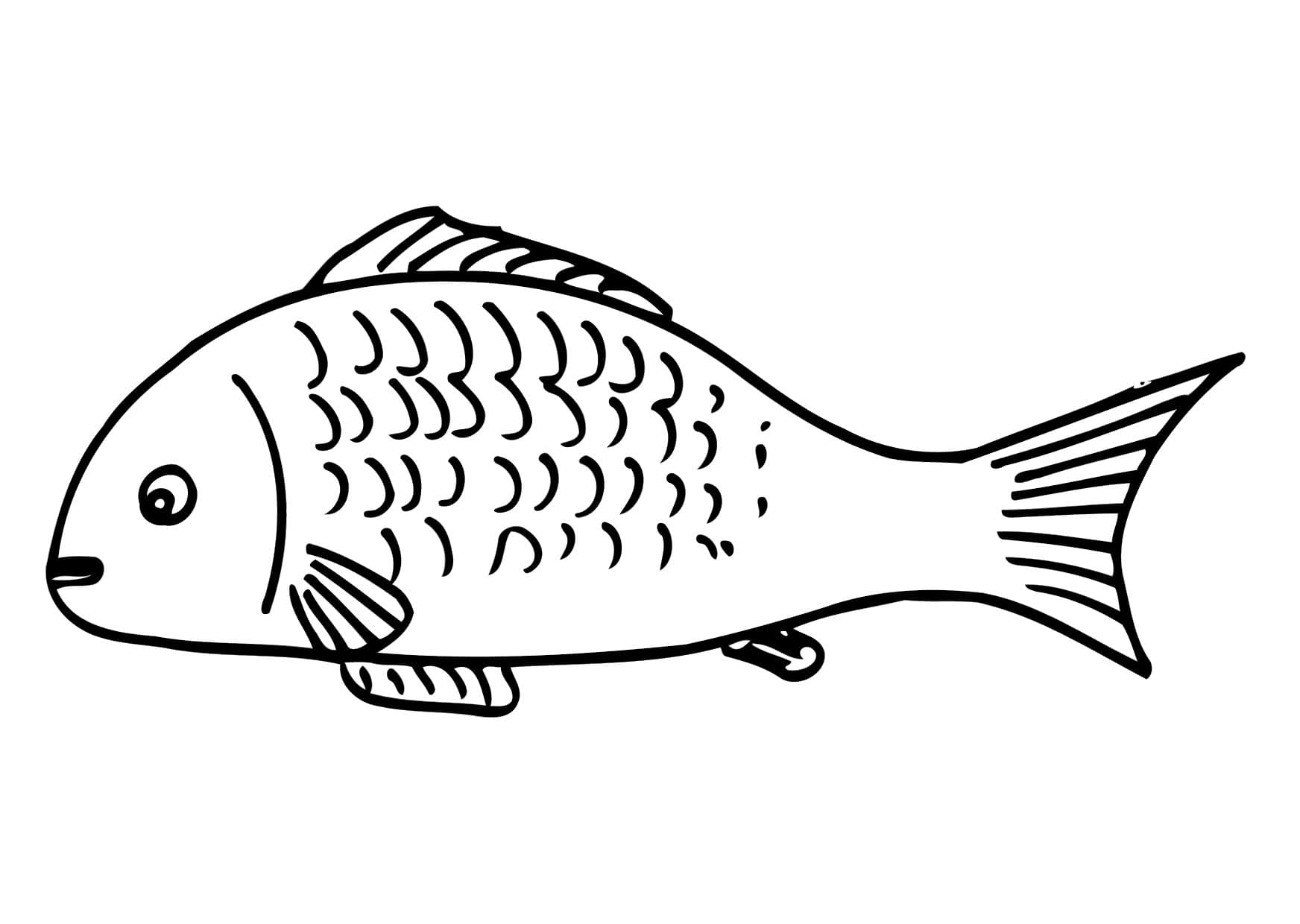 Раскраска Рыбка. Раскраска 21