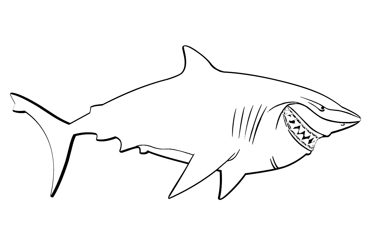 Раскраска Акула. Раскраска 11