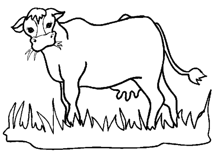 Раскраска Корова. Раскраска 1
