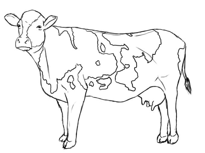 Раскраска Корова. Раскраска 6