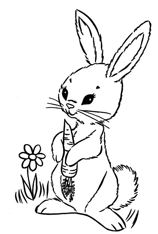 Раскраска Кролик. Раскраска 7