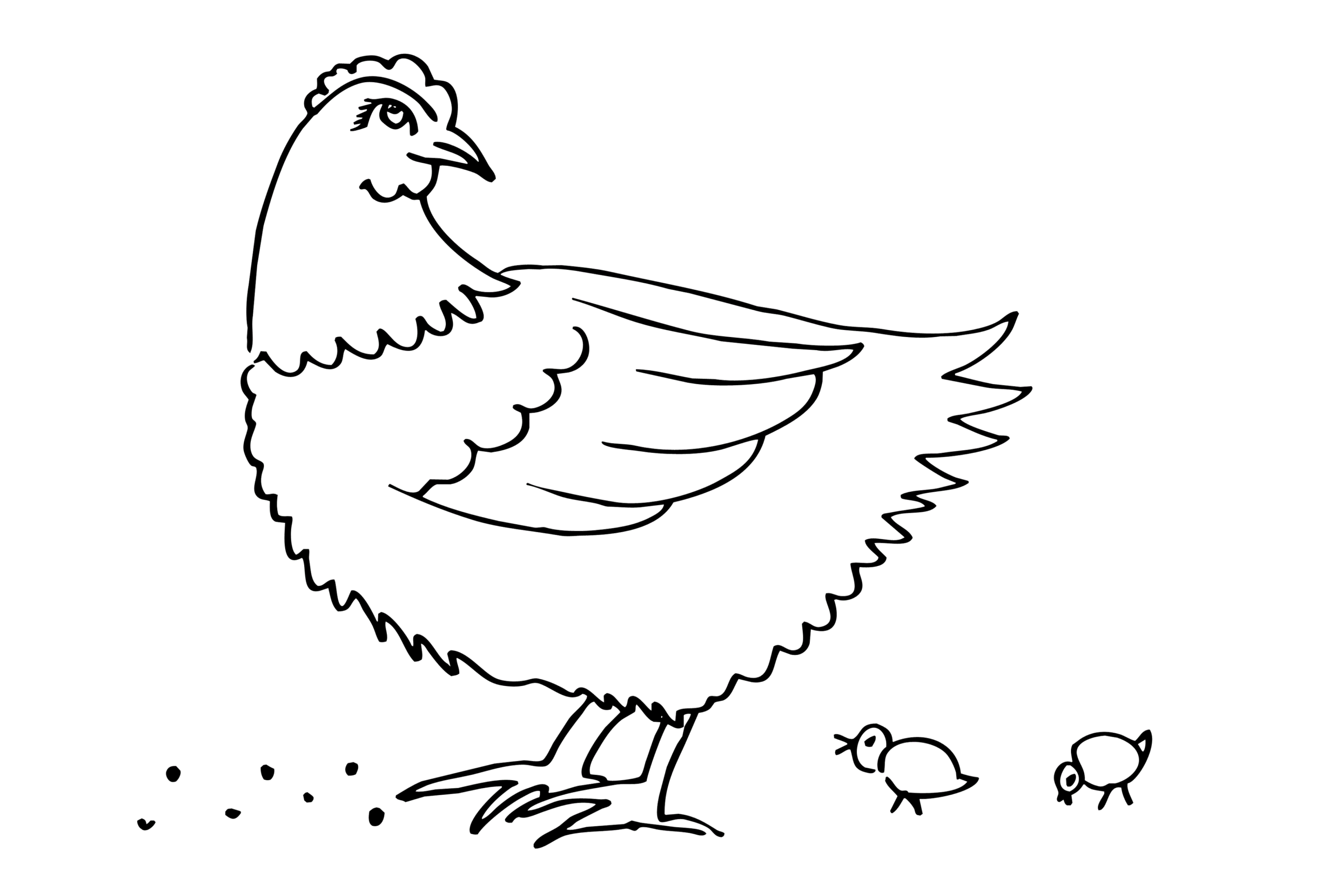 Раскраска Курица. Раскраска 12