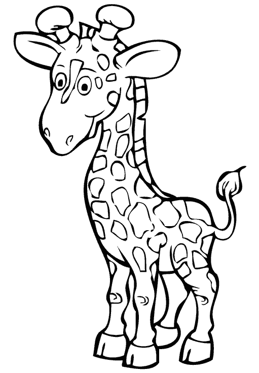 Раскраска Жираф. Раскраска 1