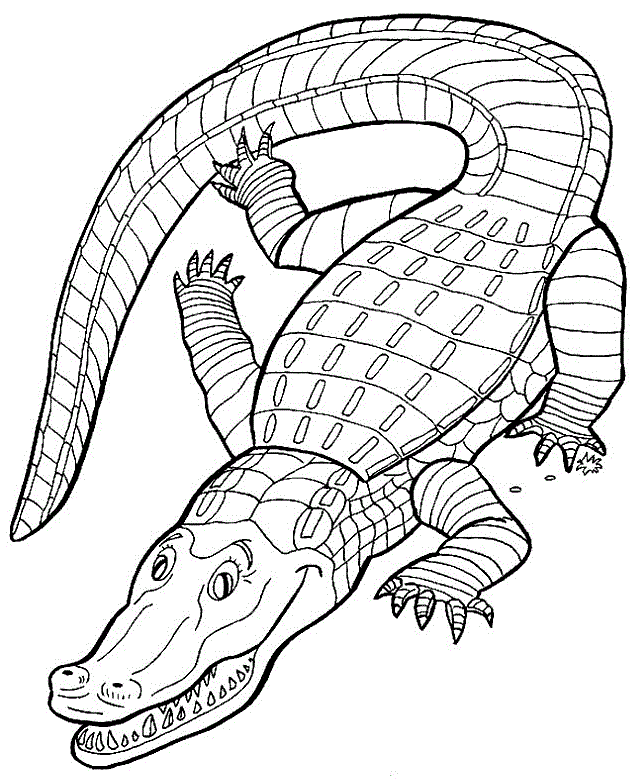 Раскраска Крокодил. Раскраска 9
