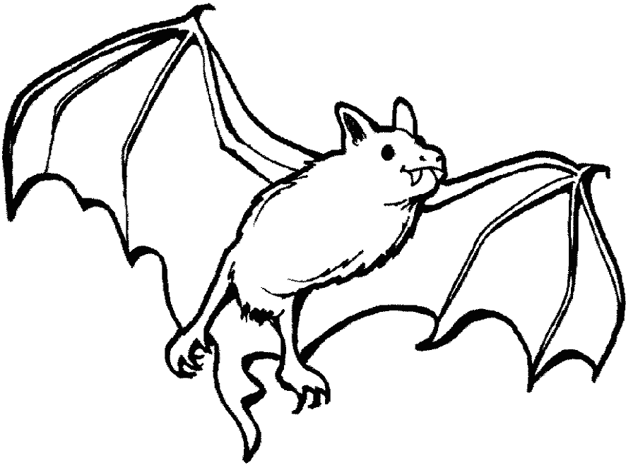 Раскраска Летучая мышь. Раскраска 9