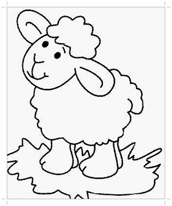 Раскраска Овца. Раскраска 7