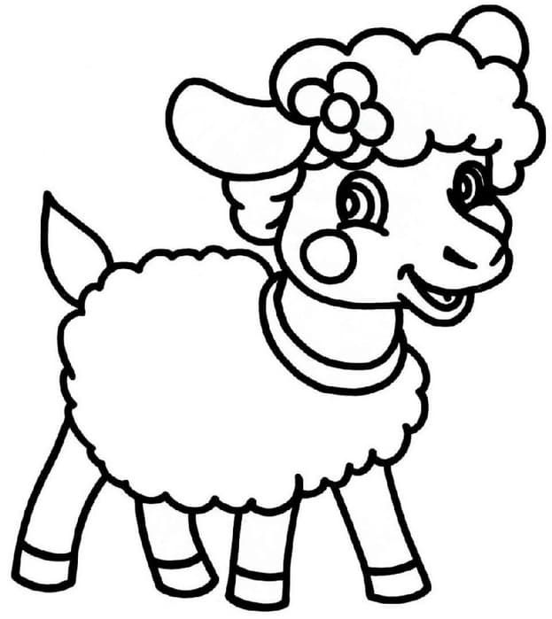 Раскраска Овца. Раскраска 8