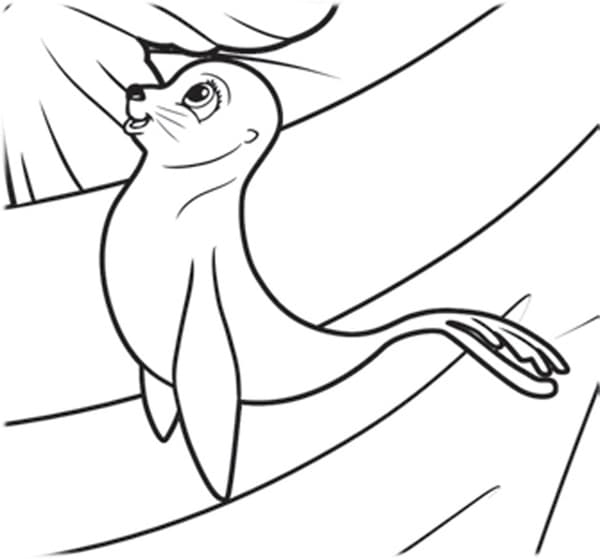 Раскраска Морской Котик. Раскраска 11