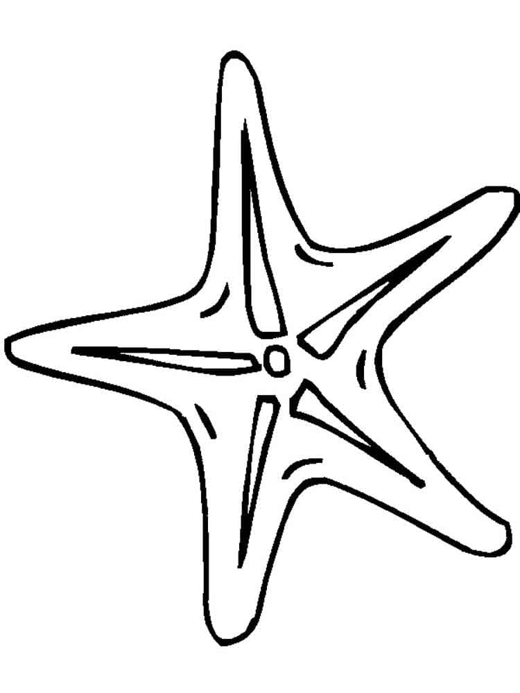 Раскраска Морская звезда. Раскраска 12