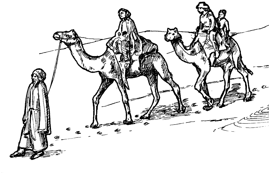 Раскраска Верблюд. Раскраска 16