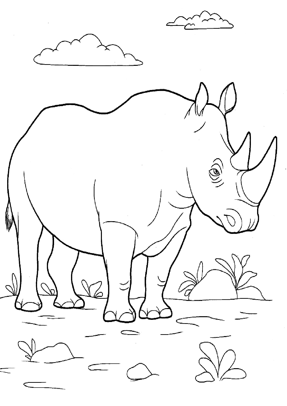 Раскраска Носорог. Раскраска 1