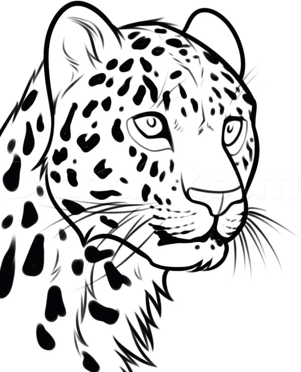 Раскраска Леопард. Раскраска 3