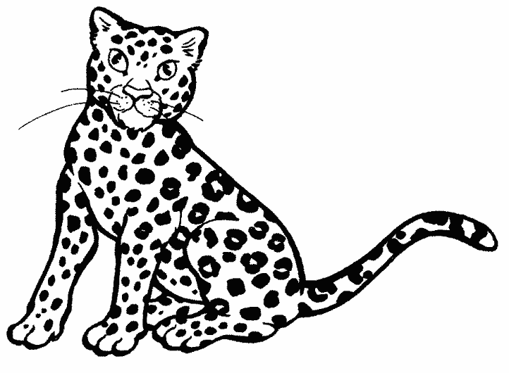 Раскраска Леопард. Раскраска 5