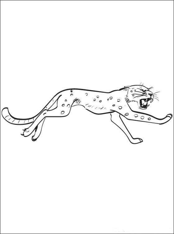 Раскраска Леопард. Раскраска 15