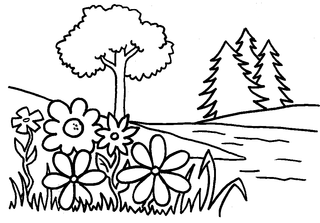 Раскраска Растения. Раскраска 1
