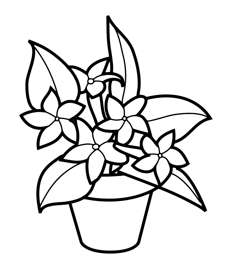 Раскраска Растения. Раскраска 19