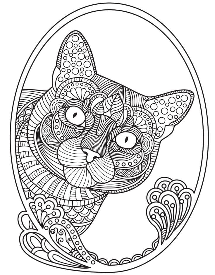 Раскраска антистресс кошка. Раскраска 14